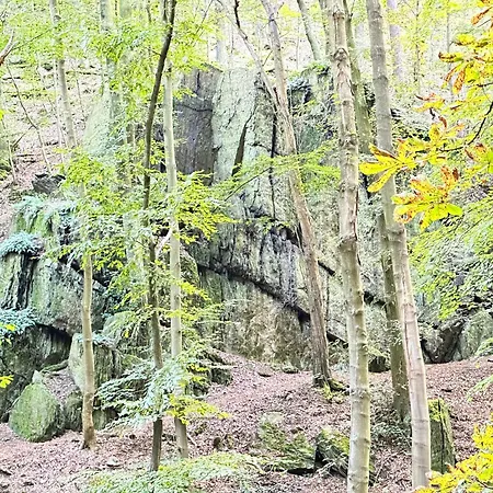 公寓 Burgblick 巴德布兰肯堡