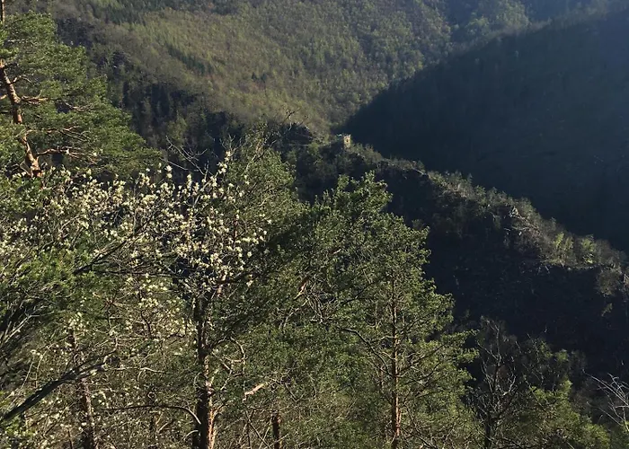 Burgblick דירה *